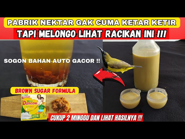 CAPEK SOGON BAHAN TIDAK KUNJUNG BUNYI❓COBA RACIKAN NEKTAR INI DAN LIHAT HASILNYA❗ class=