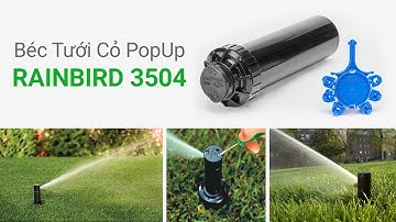 Hướng dẫn lắp đặt và sử dụng Béc Tưới Cỏ Pop Up 3504 | Maka.vn
