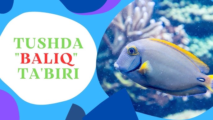 Institutdagi ayollar hojatxonasida yashirin kamera