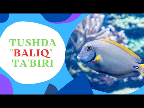 TUSHDA BALIQ TABIRI