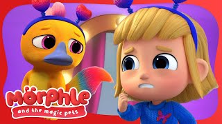 Mila and Chroma's Dress Up Play! | Morphle and The Magic Pets | Available on Disney+ and Disney Jr by Moonbug Kids - Animals for Kids 22,393 views 2 weeks ago 2 minutes, 2 seconds