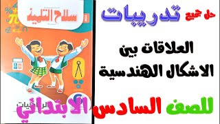 العلاقات بين الاشكال الهندسية | رياضيات للصف السادس الابتدائي الترم الاول | حل تدريبات سلاح التلميذ