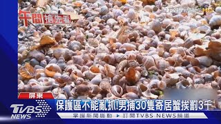 保護區不能亂抓!男捕30隻寄居蟹挨罰3千 