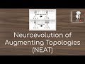 Neuroevolution of Augmenting Topologies (NEAT)