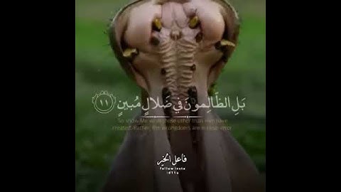 حالات واتس اب القارئ براك الشمري