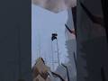 Skydiving didn’t work again #gamer #vr #cebusvr #animalcompany #gorillatag #funny #gaming￼