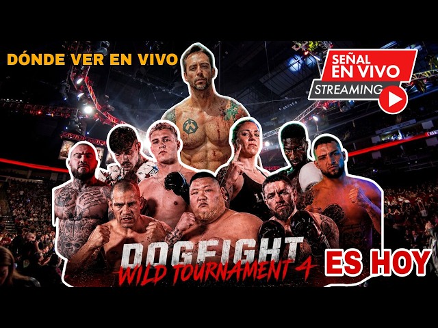 Dogfight Wild Tournament 4 LIVE Full Fights Where to watch Tokyo