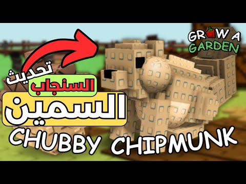 السنجاب السمين وصل أقوى مهارة في تاريخ الحيوانات الأليفة في ماب المزرعه    