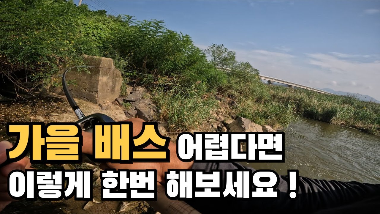 변덕스러운 날씨로 배스낚시가 어렵다면 시청하세요!!