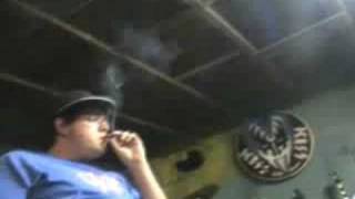Legalize It