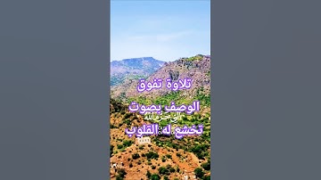 تلاوة خاشعة بصوت جميل ومؤثر يريح بالك #elmulquranعلم #قران_كريم #اكسبلور #المصحف #trend #لايك
