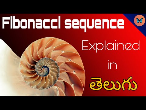 Fibonacci sequence Explained in Telugu(తెలుగు) ||Numbers in Nature