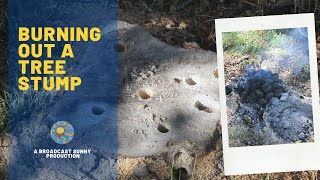 Tree Stump Removal how to by burning