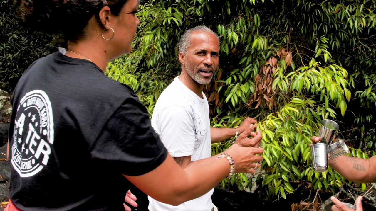 Les tisanes de Jean-Jacques, l'homme des bois - Épicurien à table (épisode 10)