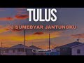 TULUS - DJ SUMEBYAR JANTUNGKU (lirik video)
