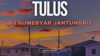 TULUS - DJ SUMEBYAR JANTUNGKU (lirik video)