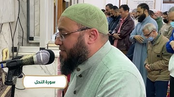 ما عندكم ينفد وما عند الله باق || تلاوة عطرة من سورة النحل || القارئ الشيخ أحمد السعيد مندور