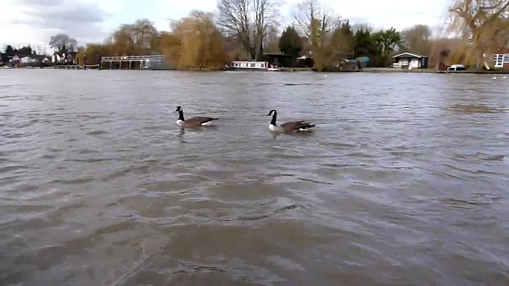 Panasonic Lumix DMC-TZ8 720p video