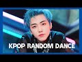 [MIRRORED] KPOP RANDOM DANCE #16