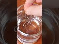 Another Cool Way How To Make A Paper Clip Float 😮😊