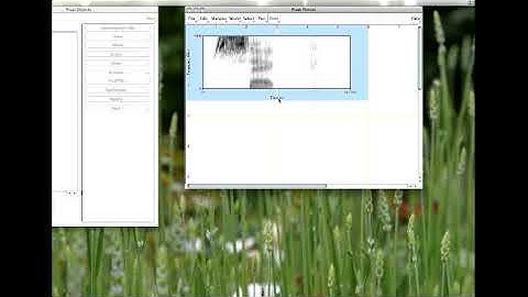 PRAAT 8  Saving pictures 1