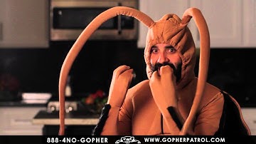 Gopher Patrol - Termite - 30 Second Spot