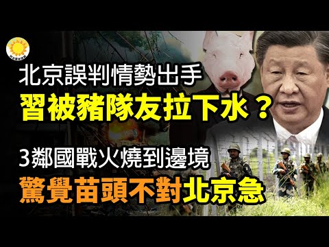 🔥北京误判情势出手，习被猪队友拉下水？3邻国战火烧到边境! 惊觉苗头不对 北京着急；普京真命危？ 日本专家称“替身”相似度只有40%；加拿大 ...