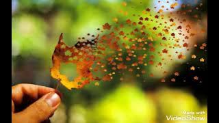 𝑯𝒖𝒚𝒊 𝑨𝒏𝒌𝒉 𝑵𝒖𝒎 𝑨𝒖𝒓 𝒚𝒆 𝑫𝒊𝒍 (𝑬𝒂𝒈𝒍𝒆 𝒋𝒉𝒂𝒏𝒌𝒂𝒓) 𝑺𝒂𝒂𝒕𝒉𝒊 1991