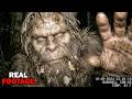 8 Bigfoot Encounters Hit Ohio In 5 Days… The Last One Changed Everything