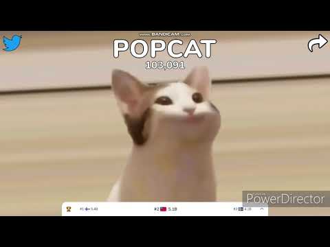 貓咪大戰爭6週年廣告--POPCAT版
