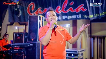CAMELIA MUSIC - TEMAN - BANG MARLIN - KHITAN FADHIL - BUCU KEMBANG JEPARA