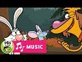 Nature Cat's Adventure and Challenges