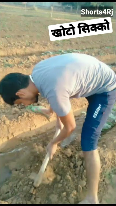 Baapu Tharo KHOTO SIKKO - Raja Hasan | Kapil Jangir ! New Rajasthani Song ! Short video