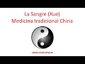 4.Teoría básica de la Medicina Tradicional China. ¿Qué es la Xue?. Auriculoterapia. Centro IMG