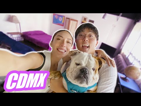 NOS MUDAMOS A CIUDAD DE MÉXICO!! ¿Ya nos pensamos ir?