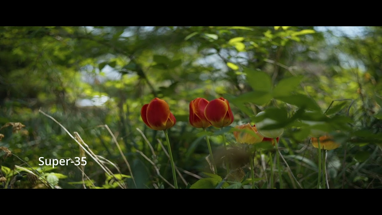 Lomo OKS 1-50-1 (1974 50mm cine lens) footage Part 2 (LOMO OKC