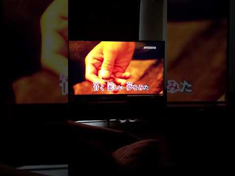 【カラオケ練習】僕のマリー