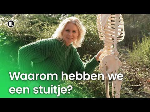 Video: Waarom hebben we md5-controlesom nodig?