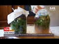 Новини України: як приготувати квас удома з буряку та трав, щоб він мав ще й лікувальні властивості