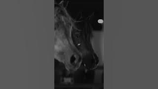 Dj JOO - Remix #dj #djremix #djviral #djsong #djtiktok #keşfet #keşfetol #yenimüzik #viralmusic