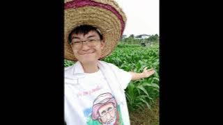 Mr Jagung Merah organic red sweet corn farm in Serdang, Malaysia.