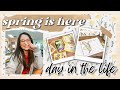 Vlog 13 back in my vlogging era  ditl teaching nonfiction books text features  more