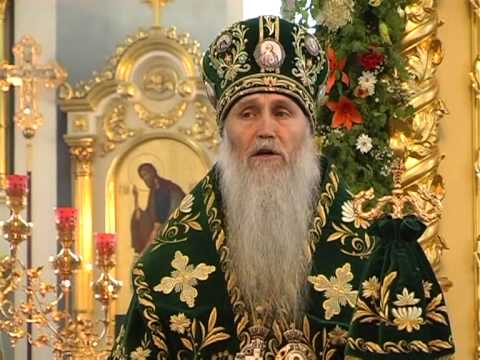 школа наследник. я монстр s ранга бегемот но меня перепутали с котом. истинная 13. истинная 13. истинная 13.