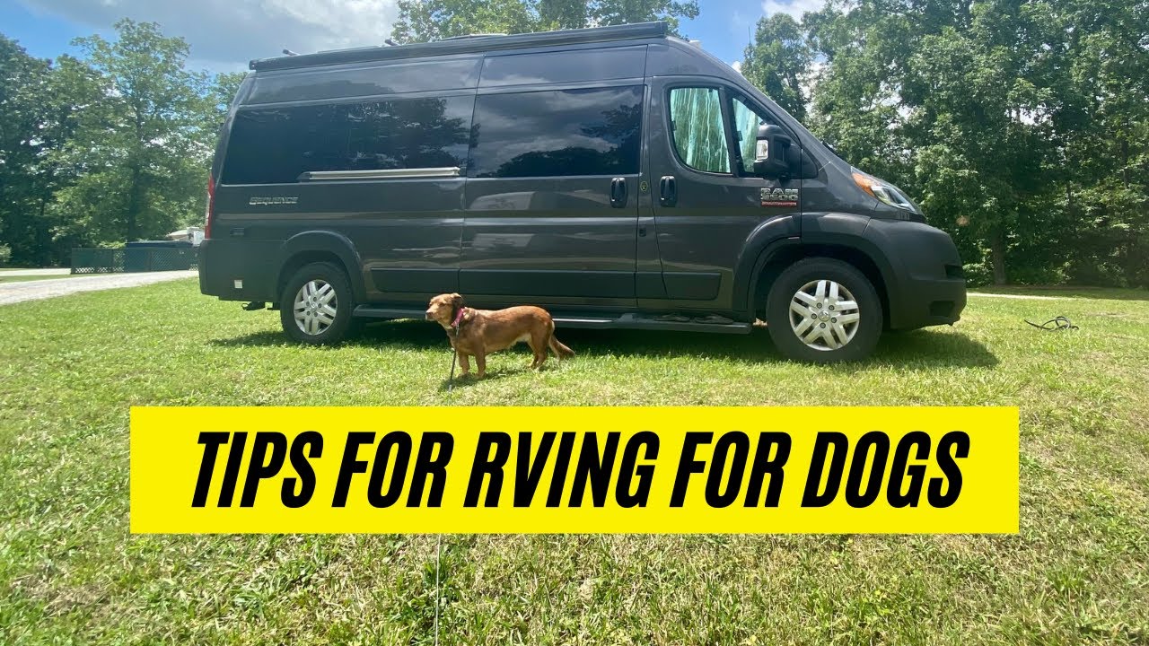 Tips For RVing with Dogs Dog Friendly Travel YouTube