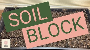 How to Create Soil Blocks for Seed Starting in a Sustainable Way