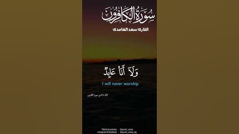 سورة الكافرون - الشيخ سعد الغامدي