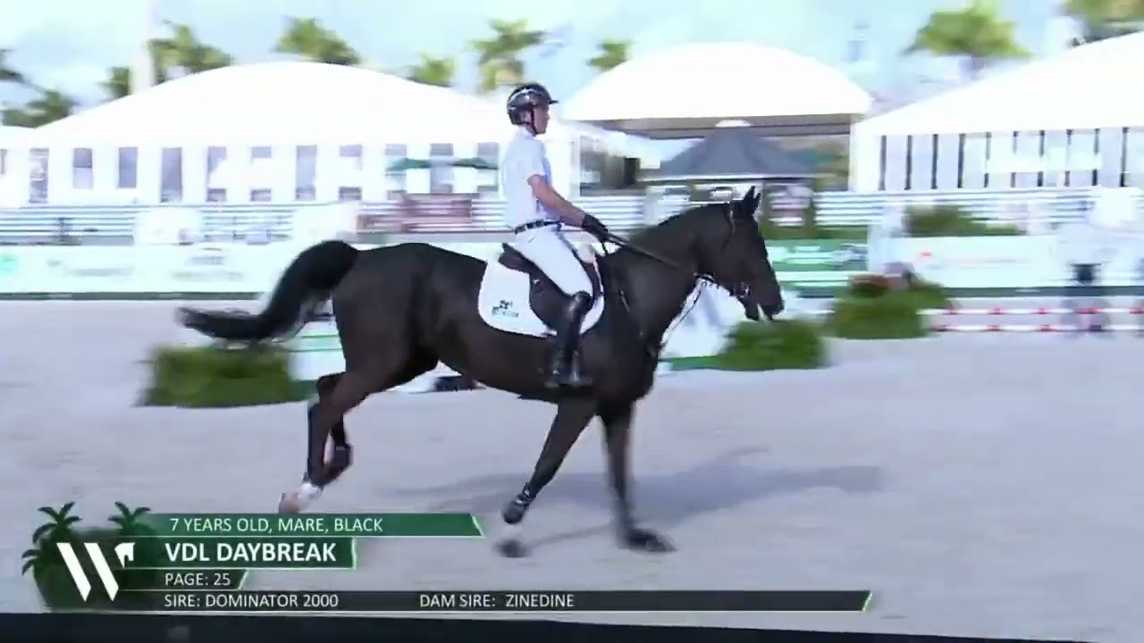 VDL Daybreak Presentation - WEF Sport Horse Auction 2026