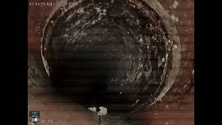 Celebrity Hammers 521 S Cherry Street Wealth