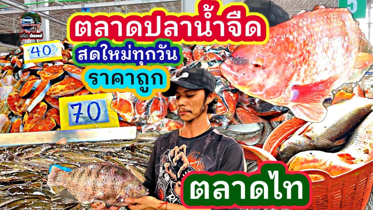 อัพเดท#ตลาดปลาน้ำจืด #ราคาถูก #สดใหม่ทุกวัน พิกัด #ตลาดไท #คลองหลวง #ปทุมธานี #ลุงน้อยchannel