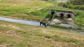 Ooralea Shopping Centre